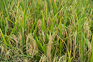 汤姆叔叔提示温馨提醒30：时代变化，汤姆叔叔温馨提醒30条-4