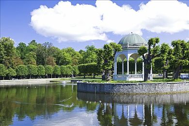 91成人抖音富二代：富二代抖音红人：逆袭新选择-3