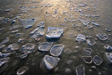 午夜商店app成人版：沉浸式互动，午夜商店APP成新宠-1