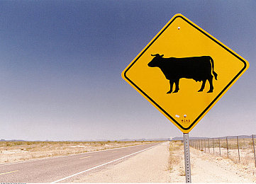 魏无羡缠着腰不让他退出:篮球场上的坚韧传奇,魏无羡带伤奋战!-3