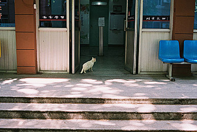 火爆社区向日葵iOS：社交新宠：打造温馨线上家园，生活难题一键解决-2