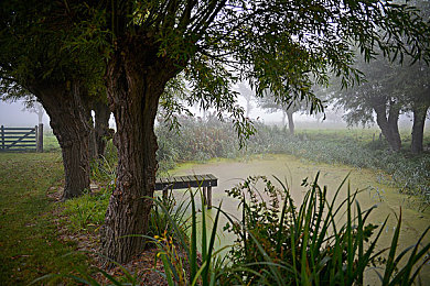 打扑克的剧烈运动：扑克牌游戏：意想不到的身心益处-3