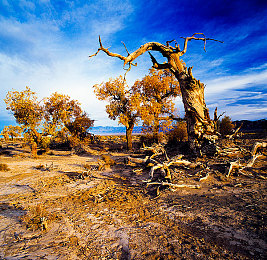父女情深mv陈德明版剧情介绍：感人父女情，互动游戏暖人心-2