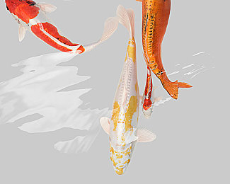 美女裸体应用：揭秘争议应用：裸照软件引热议-2