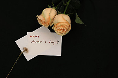 主人暴力辱骂调教sao货:狗狗遭虐,人性拷问引关注-4