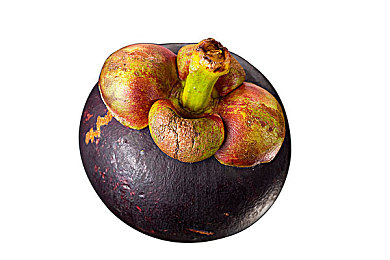 天堂一区：都市心选，天堂宜居体验-5