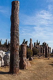 黑料不打样：网络黑料泛滥，辨伪能力成关键-3