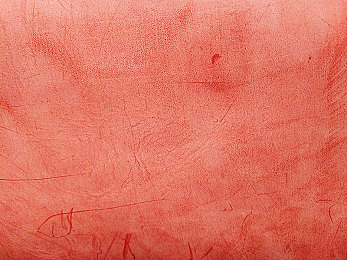 pp的八种姿态和打法:电竞奇才PP:揭秘八种姿态与独特打法-5