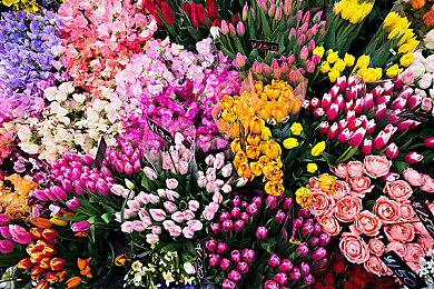 外网十三岁紫色面具：神秘游戏引关注，探险少年面具奇遇-4