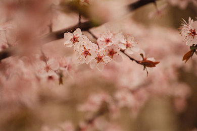 男男GaY 免费网站视频军人：免费网站现军人风采，激发爱国情怀-3