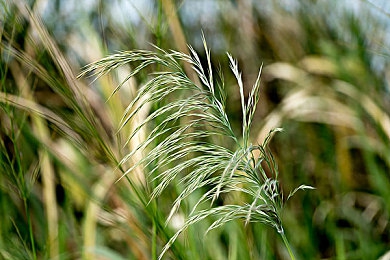 数学课代表让通免费网站：公益数学课代表，免费资源助力学习-2