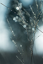 男生的坤坤放进女生的坤坤里：小镇情深：男生巧用坤坤助女生展才华-3