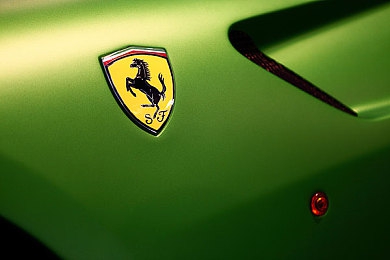 欧美人与禽ZoZ0善交：欧美人与鸟儿友谊：揭秘和谐共处奥秘-4