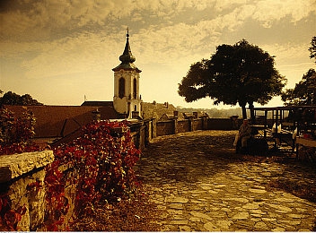 中国少妇毛茸茸：少妇红人毛茸茸：穿搭自信，公益暖心-5