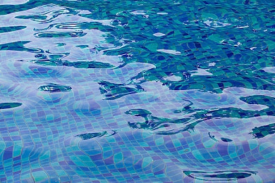 紧急通知狼官网最新地域网名：网名新时尚，地域风来袭-5