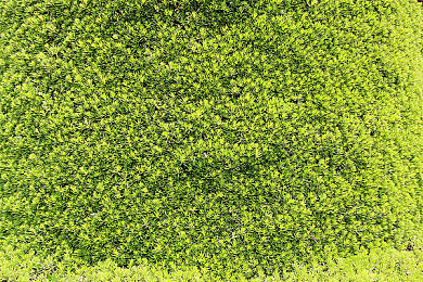 性猛交xxxx富婆老太婆：奇幻世界冒险，富婆老太婆成焦点-5