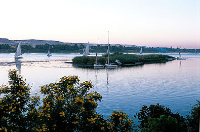 婷婷五色：时尚盛宴：五色斑斓，婷婷新品惊艳亮相-2