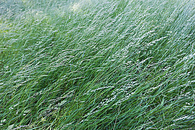 上床网站：网络严打：查封“上床”非法网站，共筑清朗网络-2