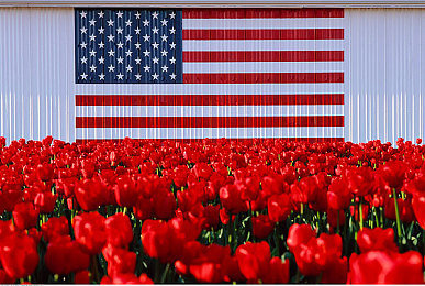 葫芦娃视频污：葫芦娃改编引争议，经典游戏魅力不减-5