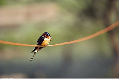 AV传送门：新平台崛起，文件传输新体验-5