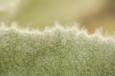 如何下载黄片软件：揭秘：热门游戏下载软件背后的秘密